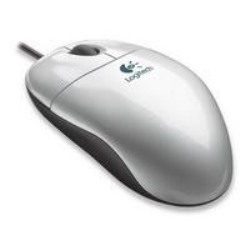 Logitech Optical Mouse ( 931781-0914 )